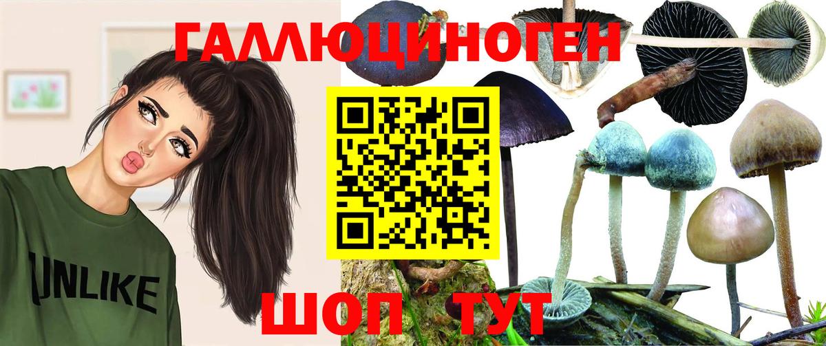 Псилоцибиновые грибы MAGIC MUSHROOMS  Вход с VPN  Псилоцибиновые грибы Cubensis  Среднеуральск 